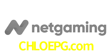 NetGaming